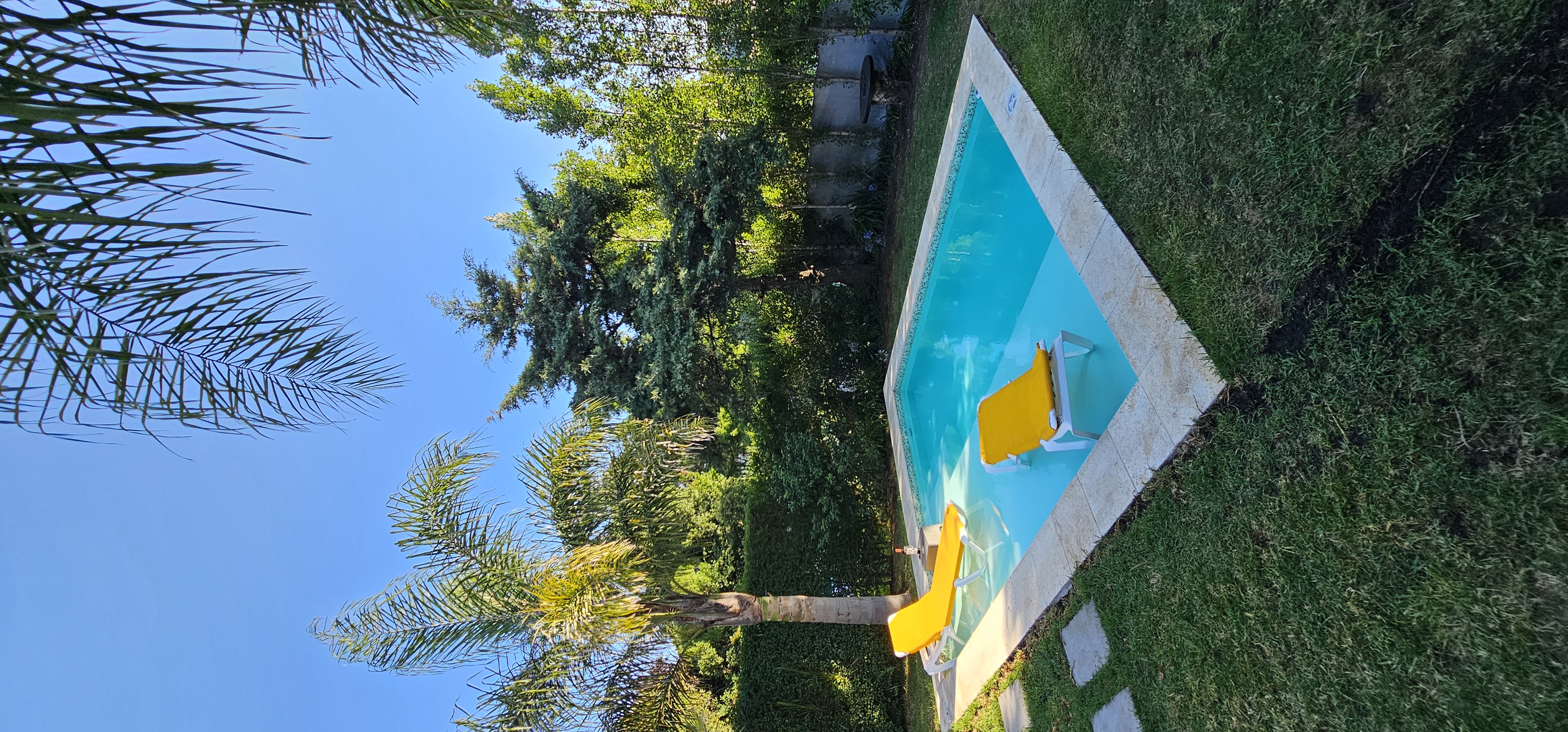 Pileta de Palmeras del Sur